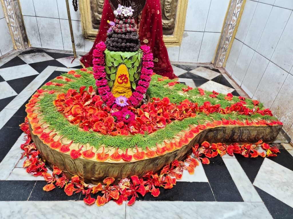 ज्येष्ठ अधिक मास सोमवती अमावस्या-श्री बागेश्वर नाथ महादेव बाबा जी का किया जायेगा भव्य रुद्राभिषेक एवं भस्म श्रृंगार….