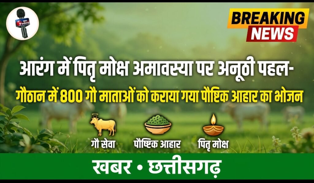 आरंग में पितृ मोक्ष अमावस्या पर अनूठी पहल-गौठान में 800 गौ माताओं को कराया गया पौष्टिक आहार का भोजन